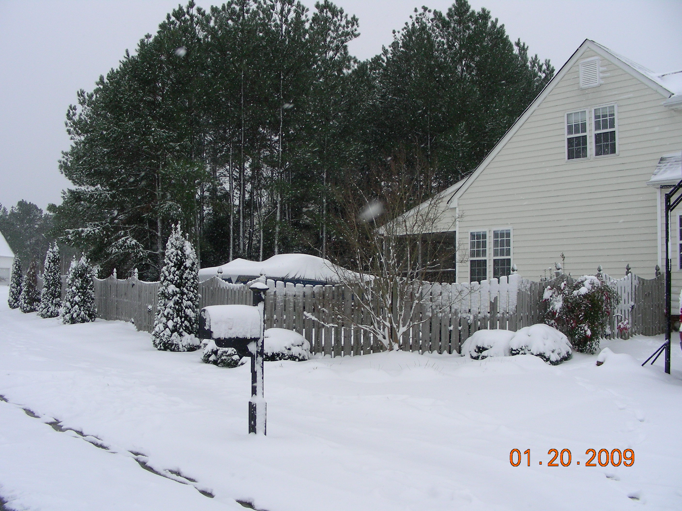 ./2009/January Snow/DSCN4797.JPG